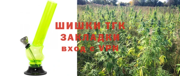 гидропоника Бородино