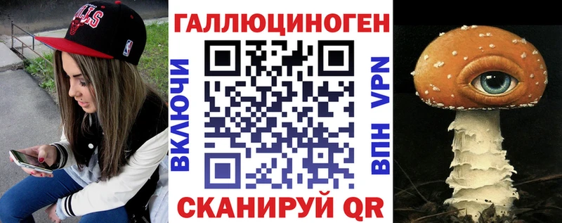 Псилоцибиновые грибы Psilocybe Горно-Алтайск