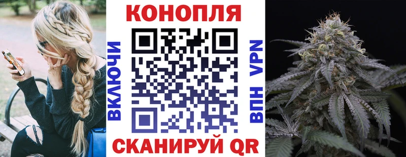 Шишки марихуана OG Kush  Горно-Алтайск 